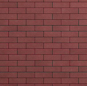 Тротуарная плитка Паркет Стандарт - krasnyj_standart